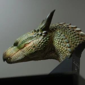 1-펜노크